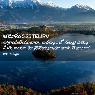 Picture 02 - ఆమోసు 5:25 TELIRV - ఇశ్రాయేలీయులారా, - Bible Verse Picture