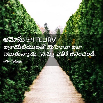 Picture 02 - ఆమోసు 5:4 TELIRV - ఇశ్రాయేలీయులతో - Bible Verse Picture
