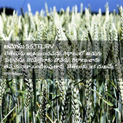 Picture 02 - ఆమోసు 5:5 TELIRV - బేతేలును - Bible Verse Picture