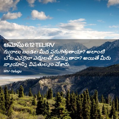 Picture 02 - ఆమోసు 6:12 TELIRV - గుర్రాలు బండల మీద - Bible Verse Picture