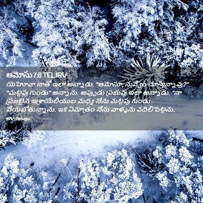 Picture 02 - ఆమోసు 7:8 TELIRV - యెహోవా నాతో ఇలా - Bible Verse Picture