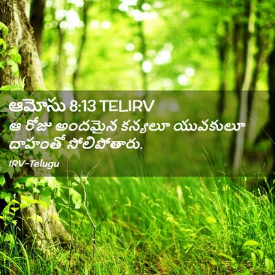 Picture 02 - ఆమోసు 8:13 TELIRV - ఆ రోజు అందమైన - Bible Verse Picture