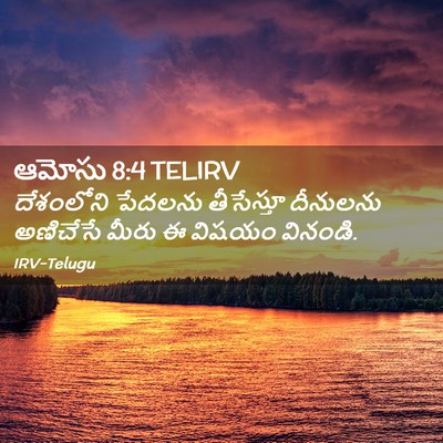 Picture 02 - ఆమోసు 8:4 TELIRV - దేశంలోని పేదలను - Bible Verse Picture