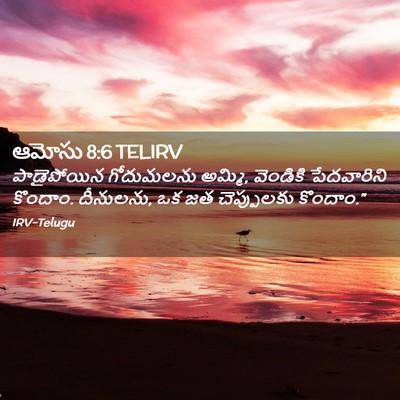 Picture 02 - ఆమోసు 8:6 TELIRV - పాడైపోయిన - Bible Verse Picture