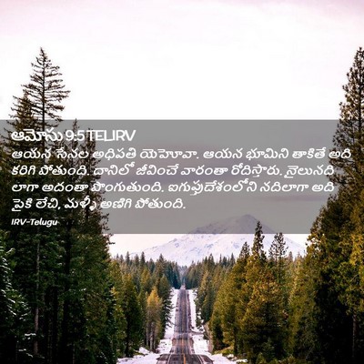 Picture 02 - ఆమోసు 9:5 TELIRV - ఆయన సేనల అధిపతి - Bible Verse Picture
