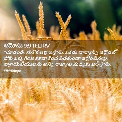 Picture 02 - ఆమోసు 9:9 TELIRV - “చూడండి. నేనొక - Bible Verse Picture