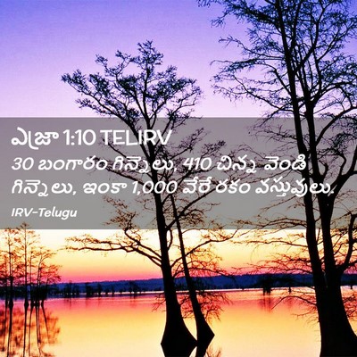 Picture 02 - ఎజ్రా 1:10 TELIRV - 30 బంగారం గిన్నెలు, - Bible Verse Picture