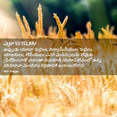 Picture 02 - ఎజ్రా 1:5 TELIRV - అప్పుడు యూదా - Bible Verse Picture