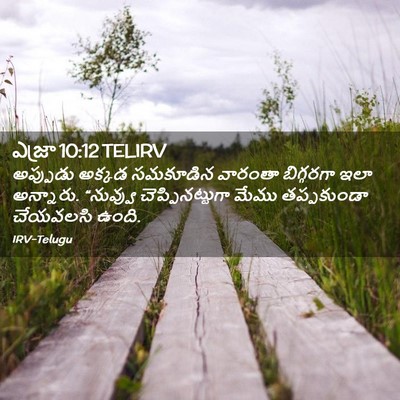 Picture 02 - ఎజ్రా 10:12 TELIRV - అప్పుడు అక్కడ - Bible Verse Picture