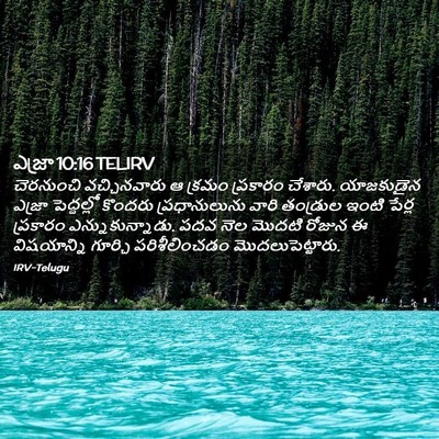 Picture 02 - ఎజ్రా 10:16 TELIRV - చెరనుంచి - Bible Verse Picture