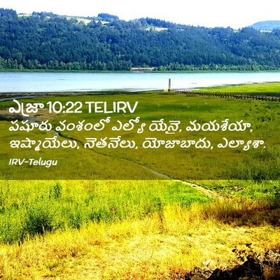 Picture 02 - ఎజ్రా 10:22 TELIRV - పషూరు వంశంలో - Bible Verse Picture