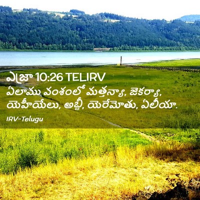Picture 02 - ఎజ్రా 10:26 TELIRV - ఏలాము వంశంలో - Bible Verse Picture