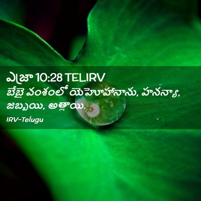 Picture 02 - ఎజ్రా 10:28 TELIRV - బేబై వంశంలో - Bible Verse Picture