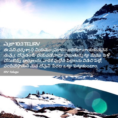 Picture 02 - ఎజ్రా 10:3 TELIRV - ఈ పని ధర్మశాస్త్ర - Bible Verse Picture