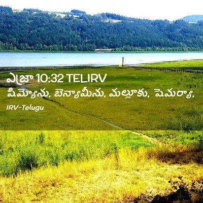 Picture 02 - ఎజ్రా 10:32 TELIRV - షిమ్యోను, - Bible Verse Picture