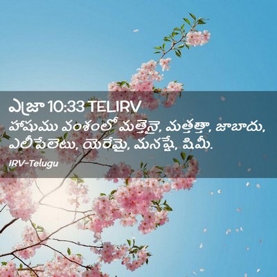 Picture 02 - ఎజ్రా 10:33 TELIRV - హాషుము వంశంలో - Bible Verse Picture