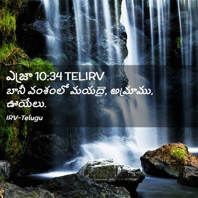 Picture 02 - ఎజ్రా 10:34 TELIRV - బానీ వంశంలో మయదై, - Bible Verse Picture