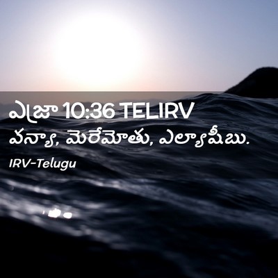 Picture 02 - ఎజ్రా 10:36 TELIRV - వన్యా, మెరేమోతు, - Bible Verse Picture