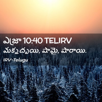 Picture 02 - ఎజ్రా 10:40 TELIRV - మక్నద్బయి, షామై, - Bible Verse Picture