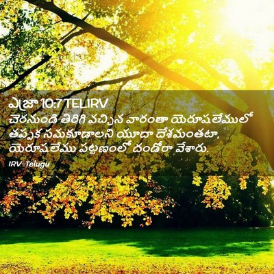 Picture 02 - ఎజ్రా 10:7 TELIRV - చెరనుండి తిరిగి - Bible Verse Picture