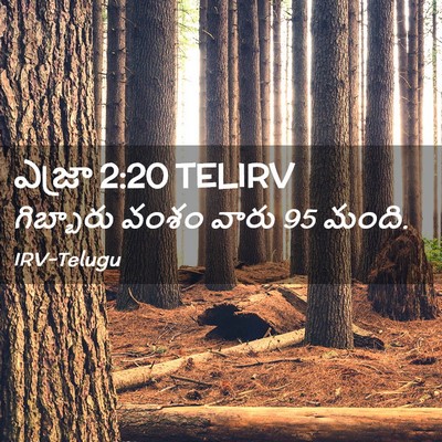 Picture 02 - ఎజ్రా 2:20 TELIRV - గిబ్బారు వంశం - Bible Verse Picture