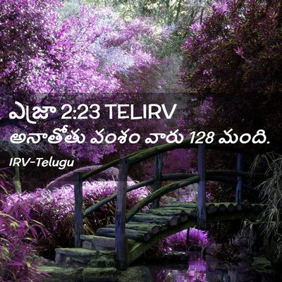 Picture 02 - ఎజ్రా 2:23 TELIRV - అనాతోతు వంశం వారు - Bible Verse Picture