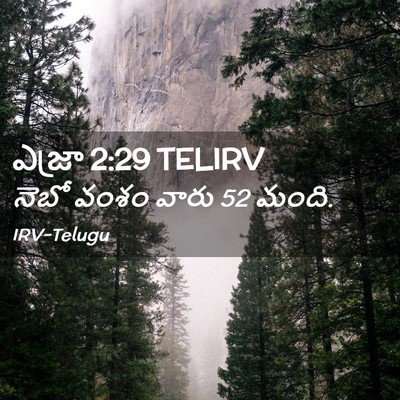 Picture 02 - ఎజ్రా 2:29 TELIRV - నెబో వంశం వారు 52 - Bible Verse Picture