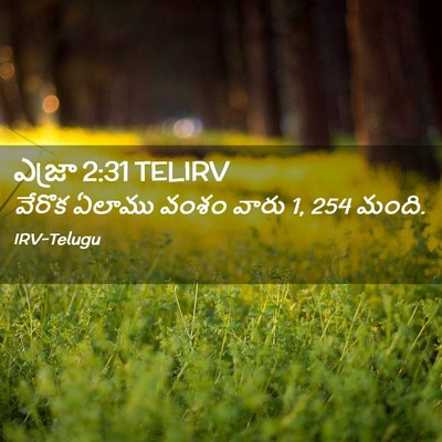 Picture 02 - ఎజ్రా 2:31 TELIRV - వేరొక ఏలాము వంశం - Bible Verse Picture