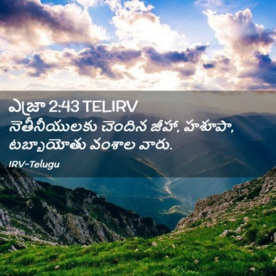 Picture 02 - ఎజ్రా 2:43 TELIRV - నెతీనీయులకు - Bible Verse Picture