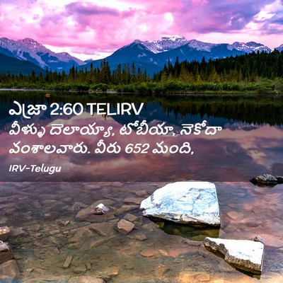Picture 02 - ఎజ్రా 2:60 TELIRV - వీళ్ళు దెలాయ్యా, - Bible Verse Picture