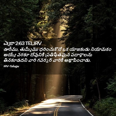 Picture 02 - ఎజ్రా 2:63 TELIRV - ఊరీము, తుమ్మీము - Bible Verse Picture