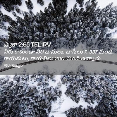 Picture 02 - ఎజ్రా 2:65 TELIRV - వీరు కాకుండా వీరి - Bible Verse Picture