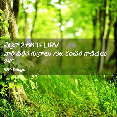 Picture 02 - ఎజ్రా 2:66 TELIRV - వారి దగ్గర - Bible Verse Picture