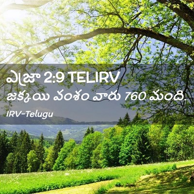 Picture 02 - ఎజ్రా 2:9 TELIRV - జక్కయి వంశం వారు 760 - Bible Verse Picture