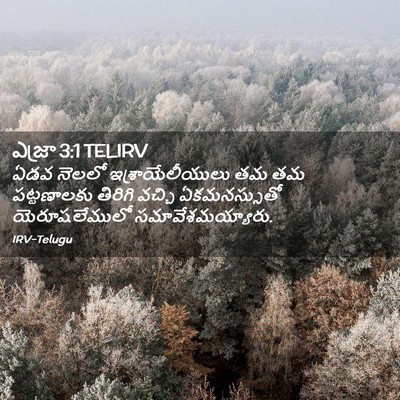 Picture 02 - ఎజ్రా 3:1 TELIRV - ఏడవ నెలలో - Bible Verse Picture