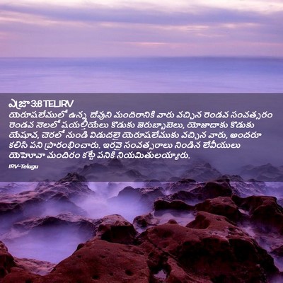 Picture 02 - ఎజ్రా 3:8 TELIRV - యెరూషలేములో ఉన్న - Bible Verse Picture