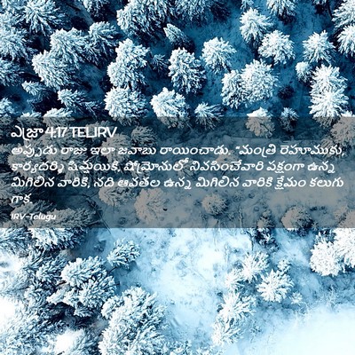 Picture 02 - ఎజ్రా 4:17 TELIRV - అప్పుడు రాజు ఇలా - Bible Verse Picture