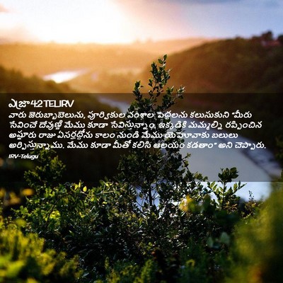 Picture 02 - ఎజ్రా 4:2 TELIRV - వారు - Bible Verse Picture