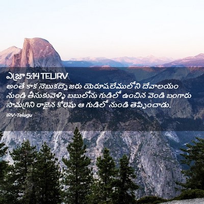 Picture 02 - ఎజ్రా 5:14 TELIRV - అంతే కాక - Bible Verse Picture