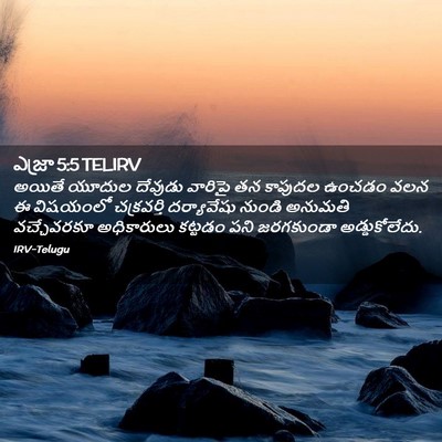 Picture 02 - ఎజ్రా 5:5 TELIRV - అయితే యూదుల - Bible Verse Picture