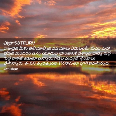 Picture 02 - ఎజ్రా 5:8 TELIRV - రాజువైన మీకు - Bible Verse Picture