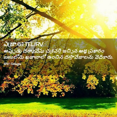 Picture 02 - ఎజ్రా 6:1 TELIRV - అప్పుడు దర్యావేషు - Bible Verse Picture