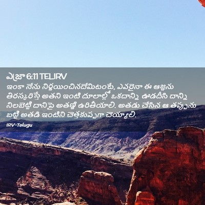 Picture 02 - ఎజ్రా 6:11 TELIRV - ఇంకా నేను - Bible Verse Picture
