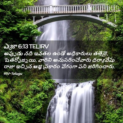 Picture 02 - ఎజ్రా 6:13 TELIRV - అప్పుడు నది ఇవతల - Bible Verse Picture