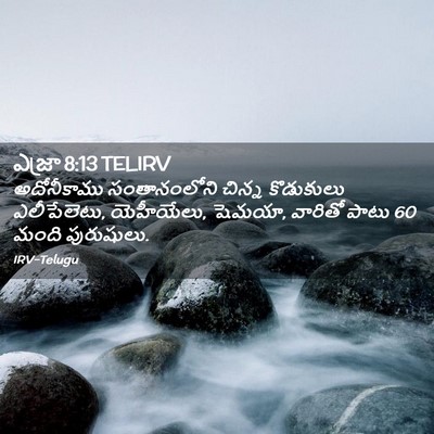 Picture 02 - ఎజ్రా 8:13 TELIRV - అదోనీకాము - Bible Verse Picture