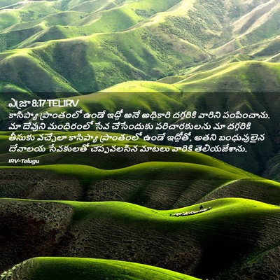 Picture 02 - ఎజ్రా 8:17 TELIRV - కాసిప్యా - Bible Verse Picture