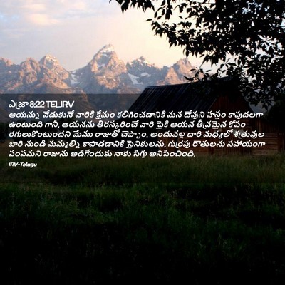 Picture 02 - ఎజ్రా 8:22 TELIRV - ఆయన్ను వేడుకునే - Bible Verse Picture