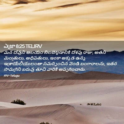 Picture 02 - ఎజ్రా 8:25 TELIRV - మన దేవుని ఆలయం - Bible Verse Picture