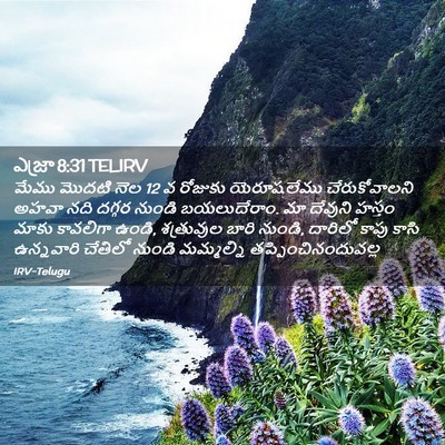 Picture 02 - ఎజ్రా 8:31 TELIRV - మేము మొదటి నెల 12 వ - Bible Verse Picture