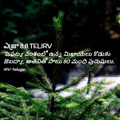 Picture 02 - ఎజ్రా 8:8 TELIRV - షెఫట్య వంశంలో - Bible Verse Picture